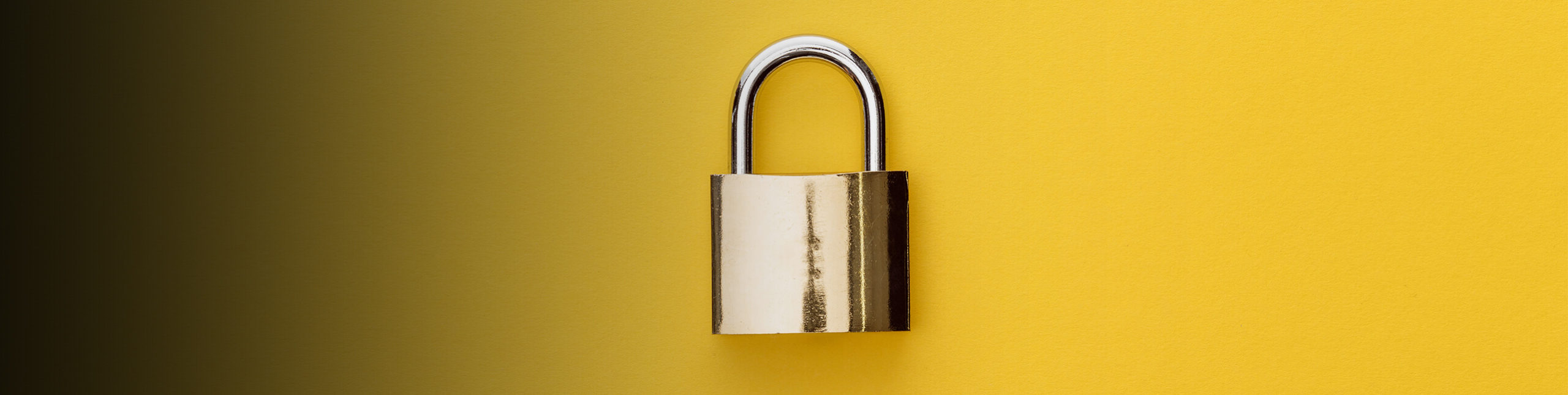 An image of a padlock and key.
