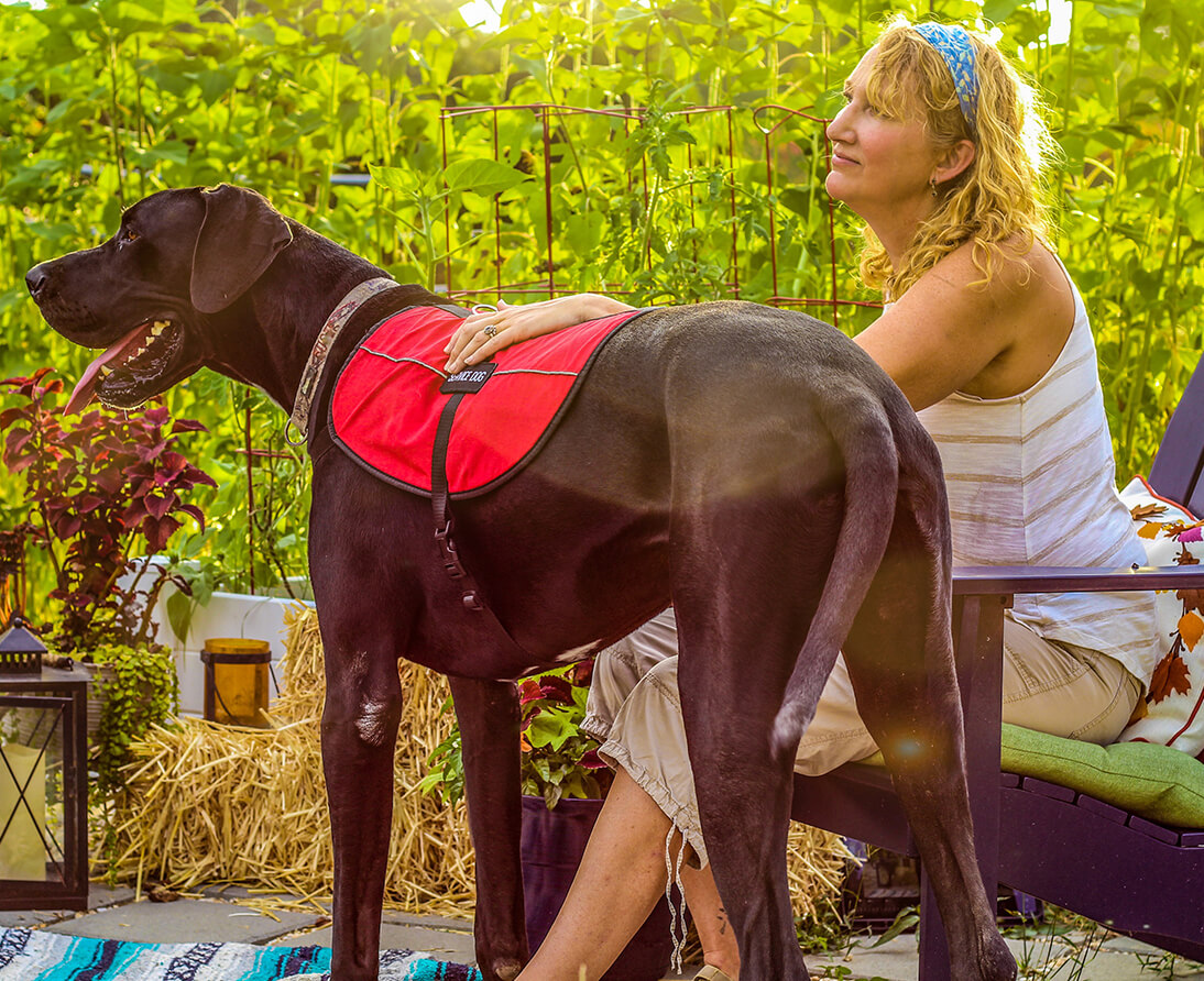 A woman sits in an outdoor patio with her hand on the back of a large service dog.